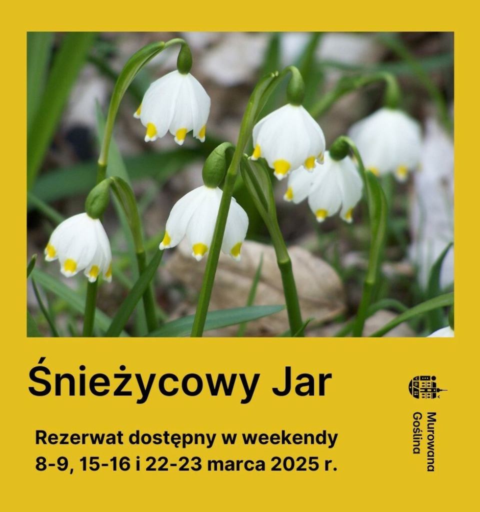 Śnieżycowy Jar dostępny 3 weekendy!