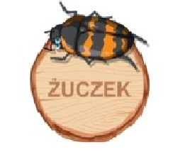 Sklep spożywczy Żuczek