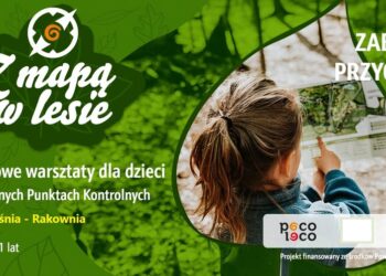 Darmowe warsztaty dla dzieci „Z mapą w lesie”.
