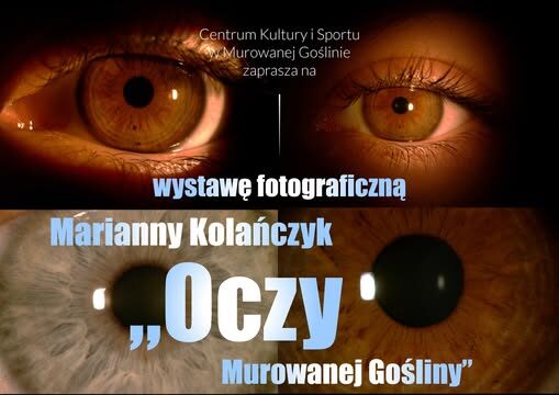 Oczy Murowanej Gośliny