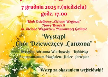 W oczekiwaniu na pierwszą gwiazdkę